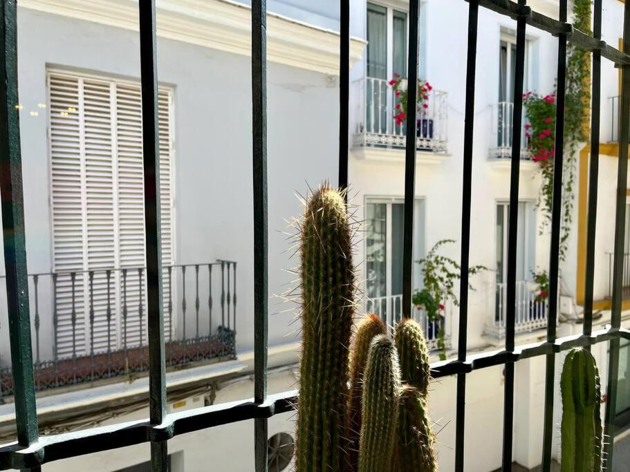 Apartamento Suite Alameda De Hercules Sevilla Kültér fotó